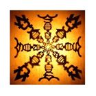 WUJA BIN BIN / WUJA BIN BIN [CD]