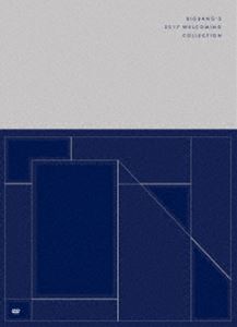 BIGBANG'S 2017 WELCOMING COLLECTION DVD(첫회 생산 한정판) [DVD]
