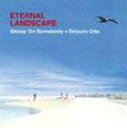 Skoop On Somebody＋織田哲郎 / ETERNAL LANDSCAPE [CD]