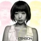 Salyu / EXTENSION（通常盤） [CD]