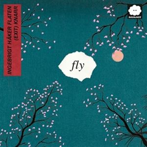 輸入盤 INGEBRIGT HAKER FLATEN （EXIT） KNARR / FLY （LIVE） 