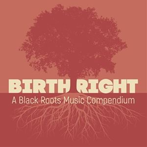 Artist Name: N - 輸入盤 VARIOUS / BIRTHRIGHT： A BLACK ROOTS MUSIC COMPENDIUM [2CD]