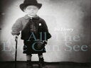 輸入盤 JOE HENRY / ALL THE EYE CAN SEE 2LP