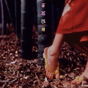 スピッツ / 花鳥風月＋ [CD]