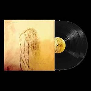 輸入盤 PRETTY RECKLESS / WHO YOU SELLING FOR [2LP]