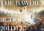 THE BAWDIESLIVE AT BUDOKAN 20111127 [DVD]
