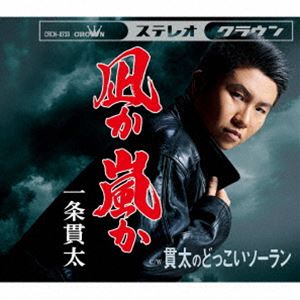 一条貫太 / 凪か 嵐か [CD]