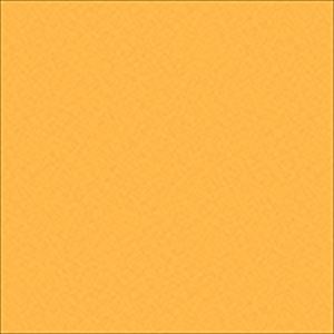 キャンディzoo / ORANGE SINGLE [CD]