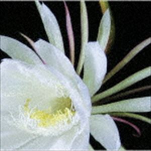 ポストマン ナイト ブルーマー詳しい納期他、ご注文時はお支払・送料・返品のページをご確認ください発売日2019/4/10postman / Night bloomerナイト ブルーマー ジャンル 邦楽ロック/ソウル 関連キーワード postman名古屋の次世代ロックシーンを牽引する4ピースバンド＜postman＞。1年振りとなる2nd　Mini　Album　の発売が決定！自主制作時代のベスト盤的な1stから一転、今回はよりコンセプチュアルに、彼等が想い描く＜夢＞に突き進む決意表明のような、全曲リード曲とも言える作品が完成した。　（C）RS※こちらの商品はインディーズ盤のため、在庫確認にお時間を頂く場合がございます。収録曲目11.（A）throb(4:27)2.Flying wild dance(4:31)3.紫陽花(4:03)4.ありふれた幸せ(3:54)5.夢と夢(4:12)6.interlude 〜開花〜(0:28)7.夜明けを待たずに(4:37)8.GOD(4:33) 種別 CD JAN 4514306014907 収録時間 30分49秒 組枚数 1 製作年 2019 販売元 ダイキサウンド登録日2019/03/04