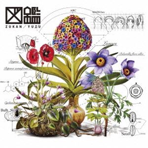 ゆず / 図鑑（通常盤） [CD]