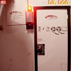 B-ROOM詳しい納期他、ご注文時はお支払・送料・返品のページをご確認ください発売日2013/10/1DR.DOG / B-ROOMドクター・ドッグ / Bルーム ジャンル 洋楽ロック 関連キーワード ドクター・ドッグDR.DOGフィラデルフィアのロック・バンド ドクター・ドッグリラックスムードがより光る、アメリカン・ロック・ファンにおすすめの一枚。フィラデルフィア出身のロック・バンド、ドクター・ドッグによる8作目のアルバム。ドクター・ドッグと言えばまだ日本での知名度は高くないものの、本国ではWILCO、THESTROKES、THE RACONTEURS THE BLACK KEYS等とステージを共にしており、これらのバンドと並んでライヴ・パフォーマンスに定評があり、アメリカン・ロックとインディ・ロックの絶妙な融合で個性を発揮する人気ロック・バンドだ。中でもドクター・ドッグはサイケデリック・ロックと呼ばれることも多く、また2012年2月の前作『Be The Void』ではパンク色を色濃く打ち出したが、今作は、およそ10余年にのぼるバンドのキャリアの中でも最もシンプルなアレンジにこだわり、結果的にソウルフルでいながらリラックスした雰囲気そのままに、直感的に楽しいアルバムに仕上がった。これを可能にしたのも、アルバム・タイトルにもなっている彼等独自のスタジオ“B-Room”を作ったことが大きい。レコーディングはライヴに近い一発録りで行われており、バンドがレコーディングの中で体験するひらめきが随所で楽しめる。収録内容1. The Truth2. Broken Heart3. Minding the Usher4. Distant Light5. Phenomenon6. Too Weak to Ramble7. Long Way Down8. Cuckoo9. Twilight10. Rock ＆ Roll11. Love12. Nellie 種別 CD 【輸入盤】 JAN 0045778729920登録日2013/08/27