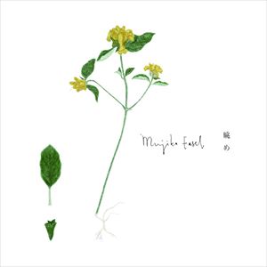 Mujika Easel / 眺め [CD]