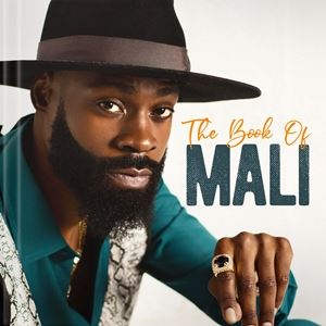 Artist Name: M - 輸入盤 MALI MUSIC / BOOK OF MALI [CD]