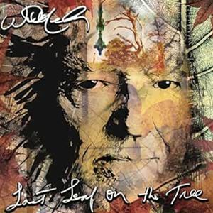 輸入盤 WILLIE NELSON / LAST LEAF ON THE TREE [CD]