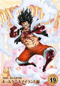 ONE PIECE s[X 19THV[Y z[P[LACh piece.19 [DVD]