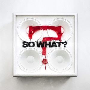輸入盤 WHILE SHE SLEEPS / SO WHAT [2LP]