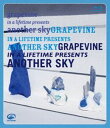 GRAPEVINE／in a lifetime presents another sky Blu-ray