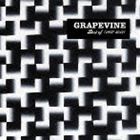 GRAPEVINE / Best of （1997-2012）（通常盤） [CD]