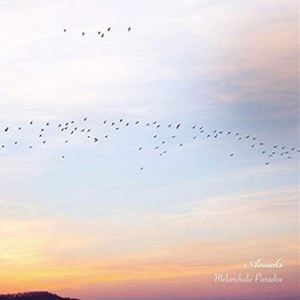 Aosaki / Melancholic Paradise [CD]