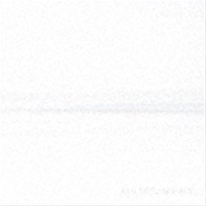 フー・ファイターズ / バット・ヒア・ウィ・アー [CD]