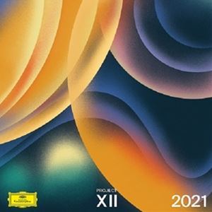 A VARIOUS / PROJECT XII 2021 [LP]