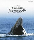 詳しい納期他、ご注文時はお支払・送料・返品のページをご確認ください発売日2013/3/22NHKスペシャル 大海原の決闘! クジラ対シャチ ジャンル 国内TVドキュメンタリー 監督 出演 深い霧と嵐に阻まれ、人を寄せ付けない幻の聖域の海がある。春から夏にかけての限られた時期に、この聖域へ向けて、のべ4万頭のクジラが大集結し、そのクジラを狙って集まるシャチもいる。なぜ、これほど献身的に次の世代を守ろうとするのか。世界で初めて“地球最大の攻防戦”を陸・海・空からドキュメント、その全貌に迫力あふれる映像で迫っていく。封入特典リーフレット関連商品NHKスペシャル一覧 種別 Blu-ray JAN 4988066192975 収録時間 49分 カラー カラー 組枚数 1 製作年 2012 製作国 日本 字幕 日本語 音声 日本語リニアPCM（ステレオ） 販売元 NHKエンタープライズ登録日2013/01/07