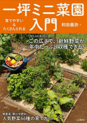 一坪ミニ菜園入門 育てやすい＆たくさんとれる