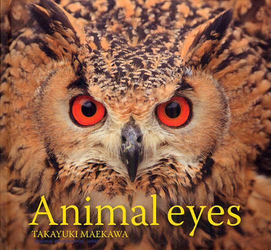 Animal eyes