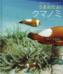 うまれたよ!クマノミ