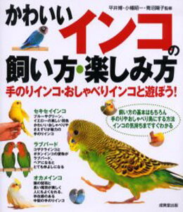 かわいいインコの飼い方・楽しみ方