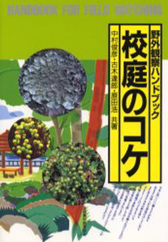校庭のコケ