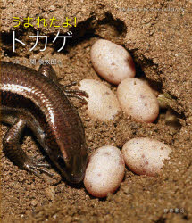 うまれたよ!トカゲのサムネイル