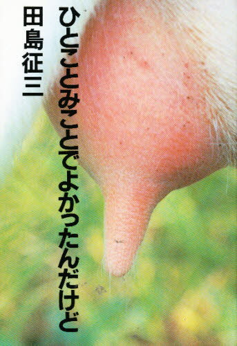 ひとことみことでよかったんだけど