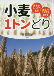 小麦1トンどり 薄まき・しっかり出芽太茎でくず麦をなくす