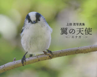 翼の天使エナガ 上田茂写真集