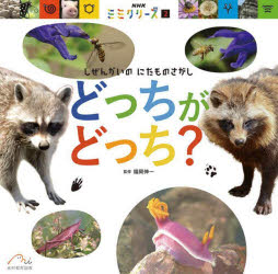 どっちがどっち?