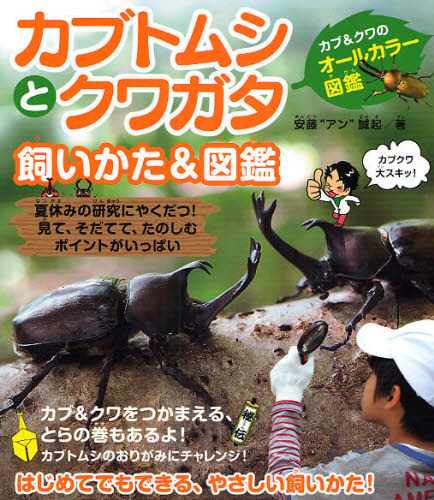 楽天ぐるぐる王国FS 楽天市場店カブトムシとクワガタ飼いかた＆図鑑 カブ＆クワのオールカラー図鑑 夏休みの研究にやくだつ!見て、そだてて、たのしむポイントがいっぱい