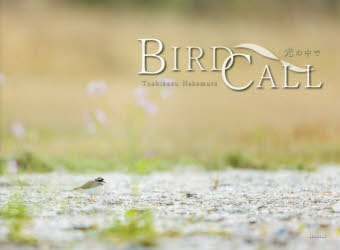 BIRD CALL ̒