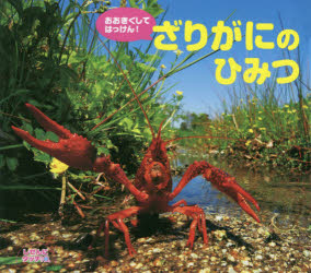 おおきくしてはっけん!ざりがにのひみつのサムネイル