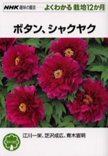 ボタン、シャクヤク