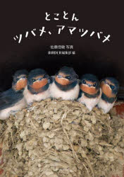 とことんツバメ、アマツバメ