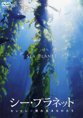 DVD シー・プラネット モントレー湾の