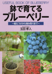 鉢で育てるブルーベリー 植えつけから摘み取りまで