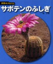 埴沙萠／著科学のアルバム 植物8本詳しい納期他、ご注文時はご利用案内・返品のページをご確認ください出版社名あかね書房出版年月2005年04月サイズ52P 23cmISBNコード9784251033444児童 学習 学習その他サボテンのふしぎ 新装版サボテン ノ フシギ カガク ノ アルバム シヨクブツ-8※ページ内の情報は告知なく変更になることがあります。あらかじめご了承ください登録日2013/04/04