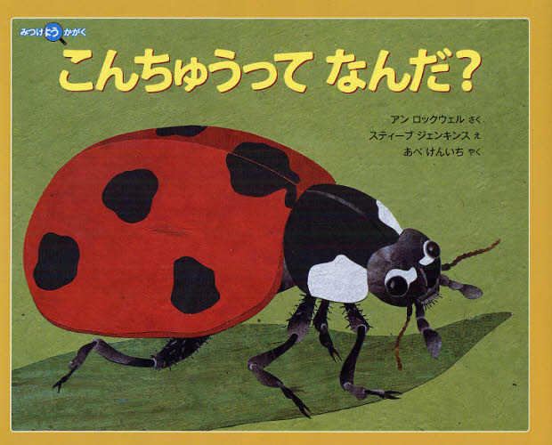 Rakuten - こんちゅうってなんだ?