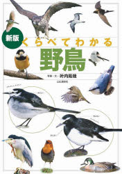 叶内拓哉／写真・文本詳しい納期他、ご注文時はご利用案内・返品のページをご確認ください出版社名山と溪谷社出版年月2025年04月サイズ136P 26cmISBNコード9784635063722趣味 アウトドア フィールド図鑑くらべてわかる野鳥 識別ポイントで見分けるクラベテ ワカル ヤチヨウ シキベツ ポイント デ ミワケル※ページ内の情報は告知なく変更になることがあります。あらかじめご了承ください登録日2025/03/26