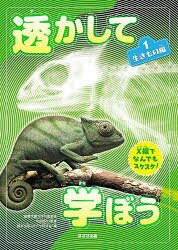 透かして学ぼう X線でなんでもスケスケ! 1