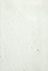 島田荘司全集 6