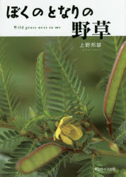 ぼくのとなりの野草