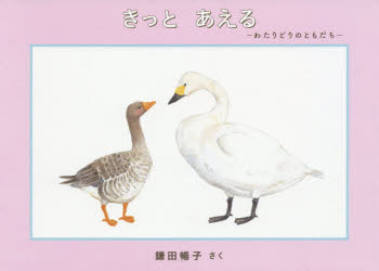 繪本, 幼兒書籍, 圖鑑 - きっとあえる わたりどりのともだち